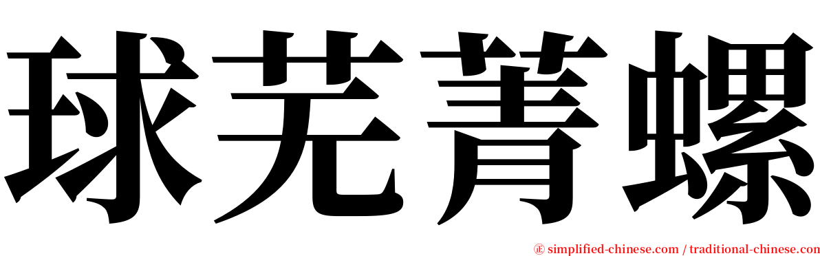 球芜菁螺 serif font