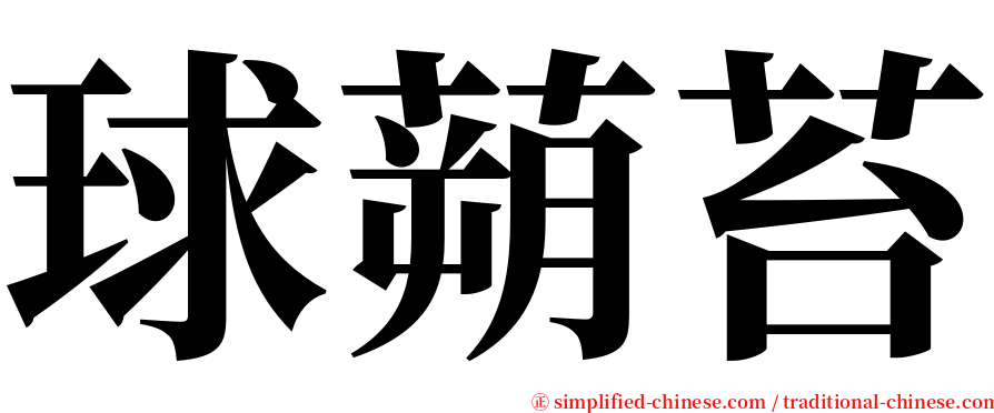 球蒴苔 serif font