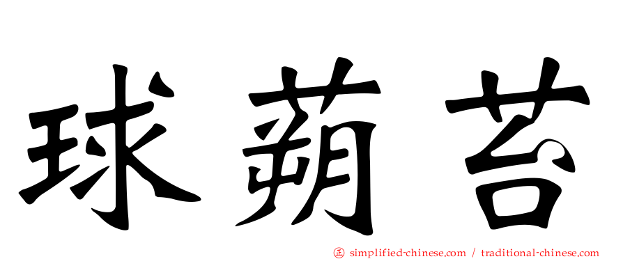 球蒴苔
