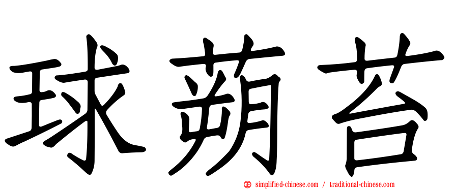 球蒴苔