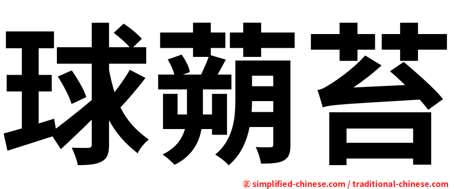 球蒴苔