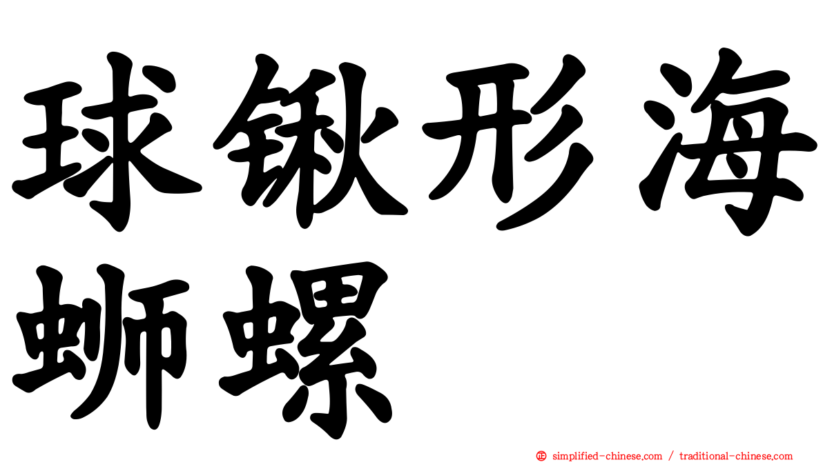 球锹形海蛳螺