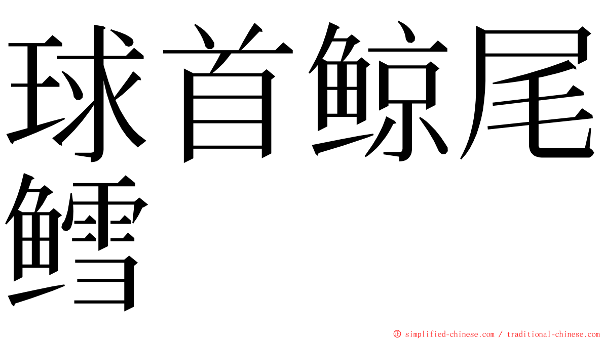 球首鲸尾鳕 ming font