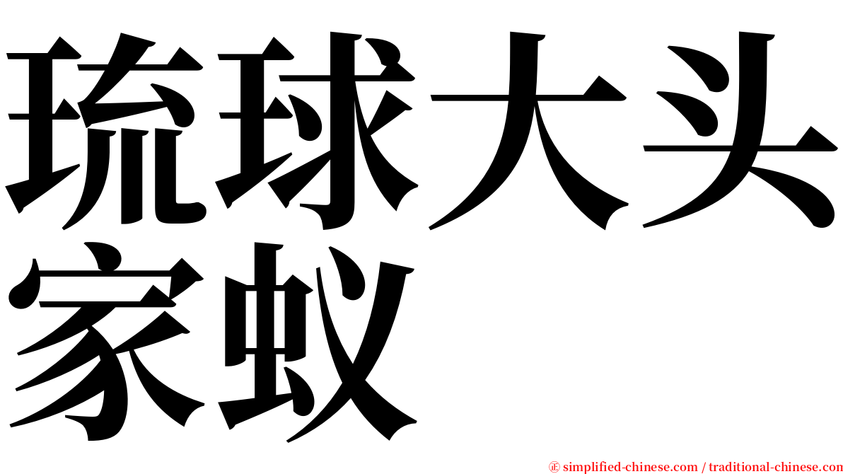 琉球大头家蚁 serif font