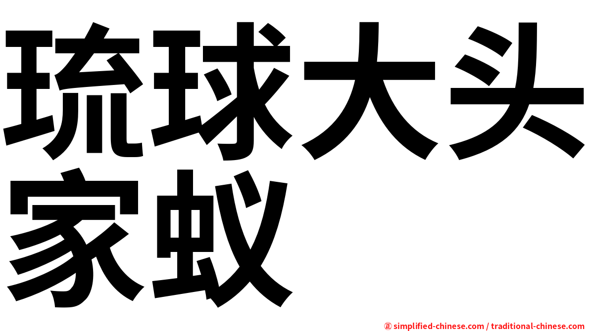琉球大头家蚁