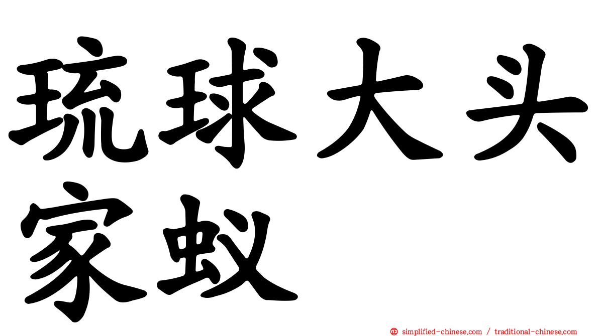 琉球大头家蚁