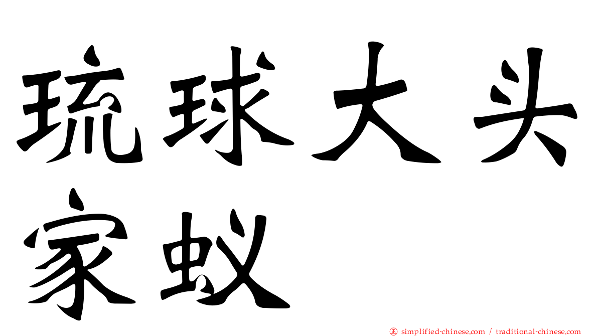 琉球大头家蚁