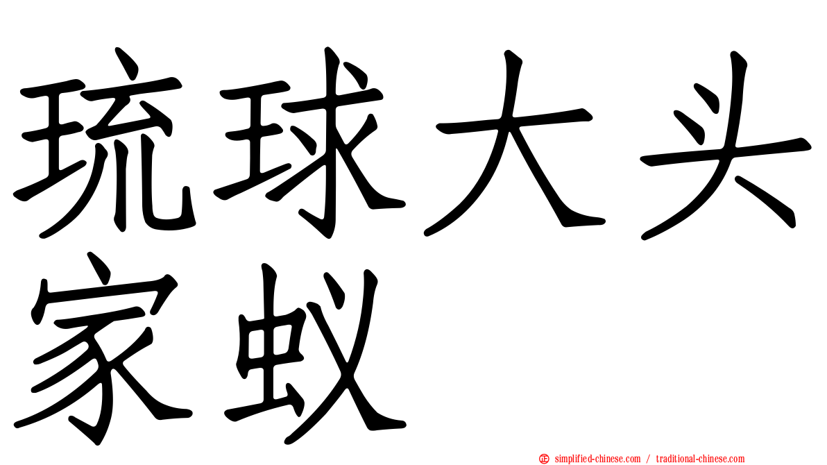 琉球大头家蚁