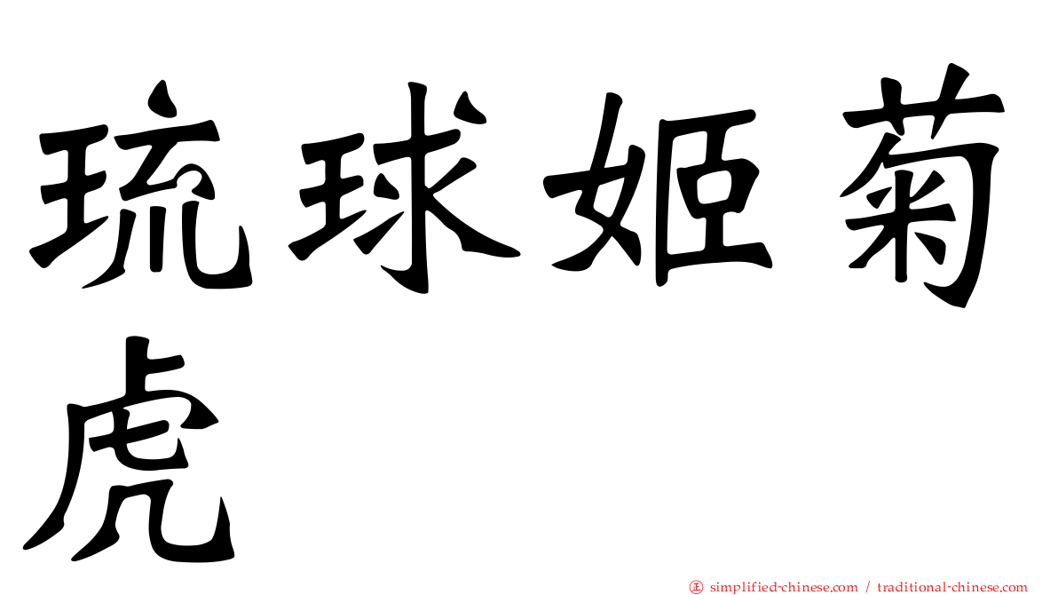 琉球姬菊虎