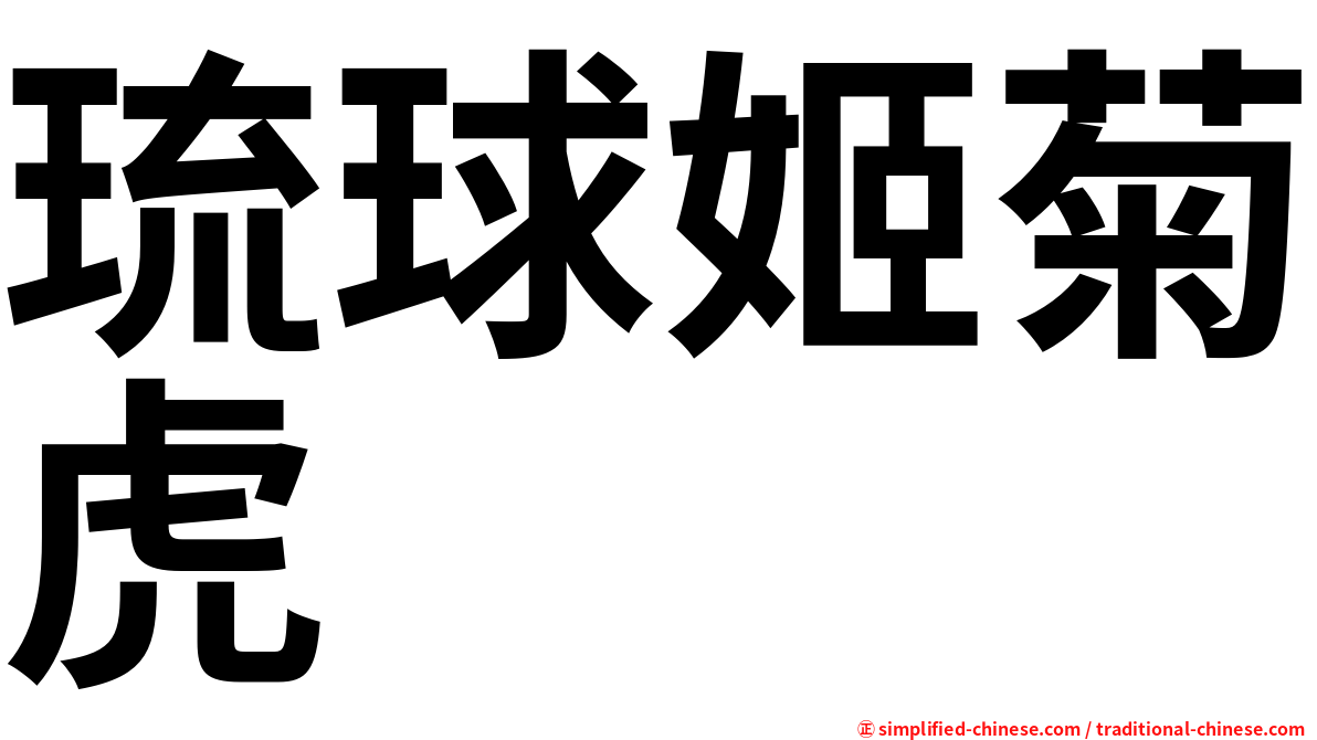 琉球姬菊虎