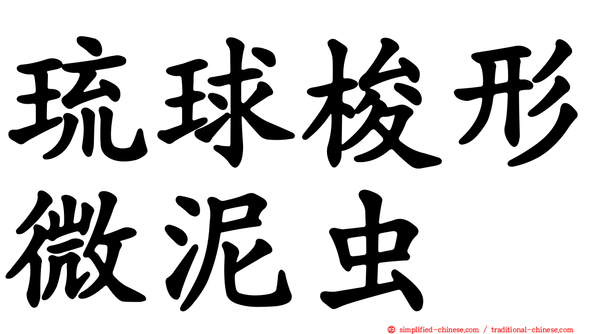 琉球梭形微泥虫
