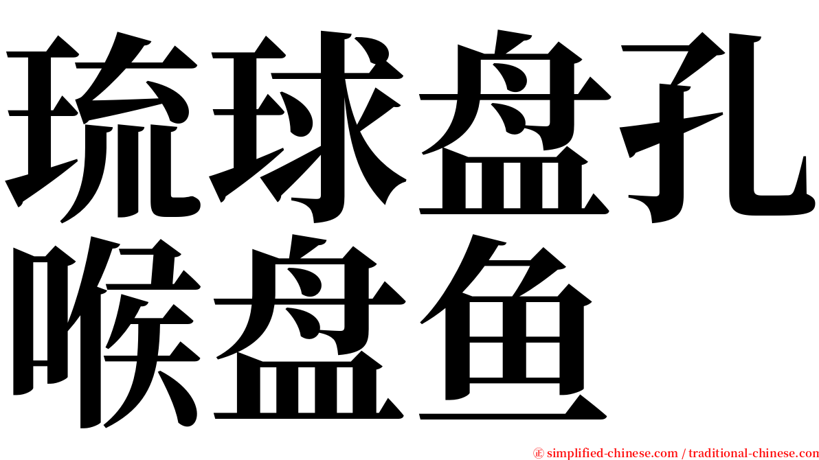 琉球盘孔喉盘鱼 serif font