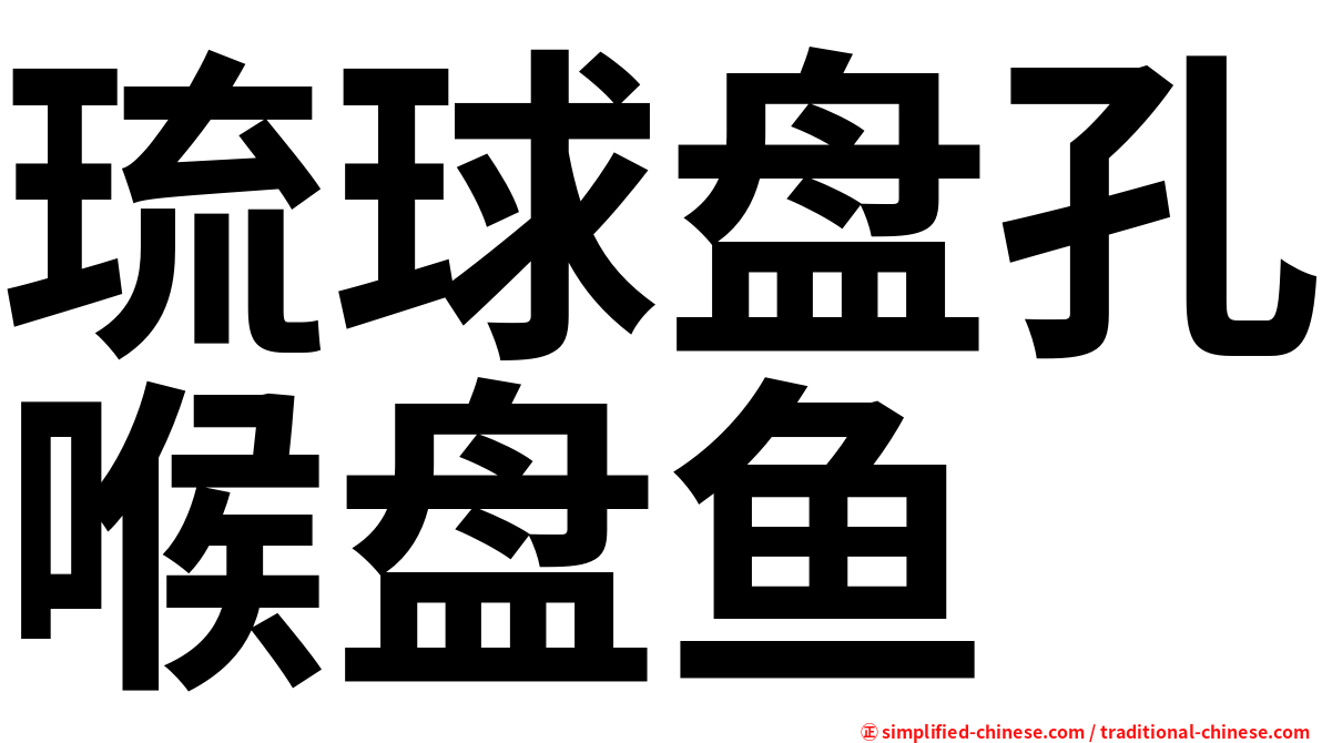 琉球盘孔喉盘鱼