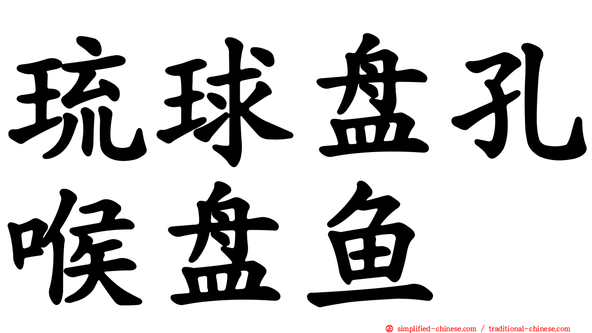 琉球盘孔喉盘鱼