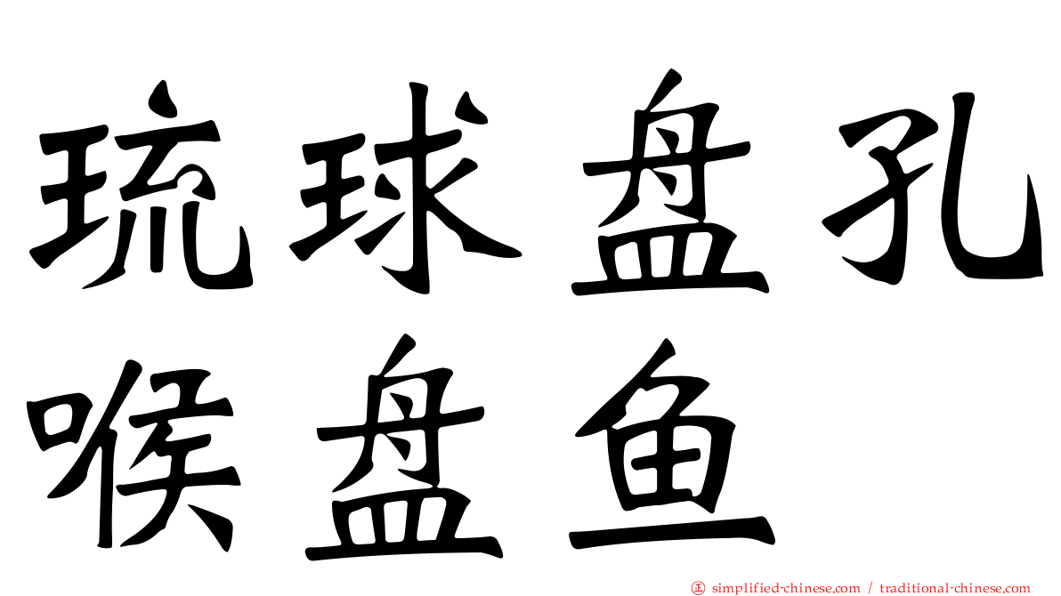 琉球盘孔喉盘鱼