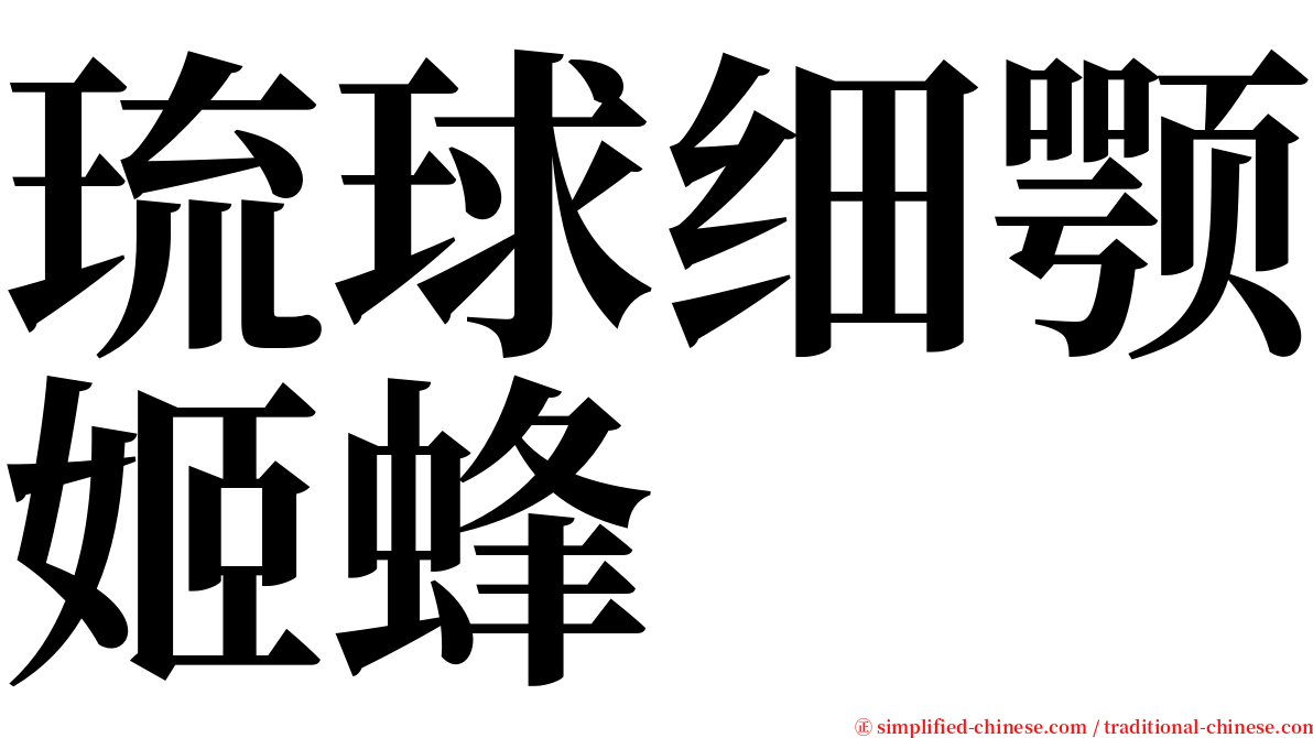 琉球细颚姬蜂 serif font