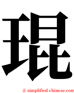 琨 serif font