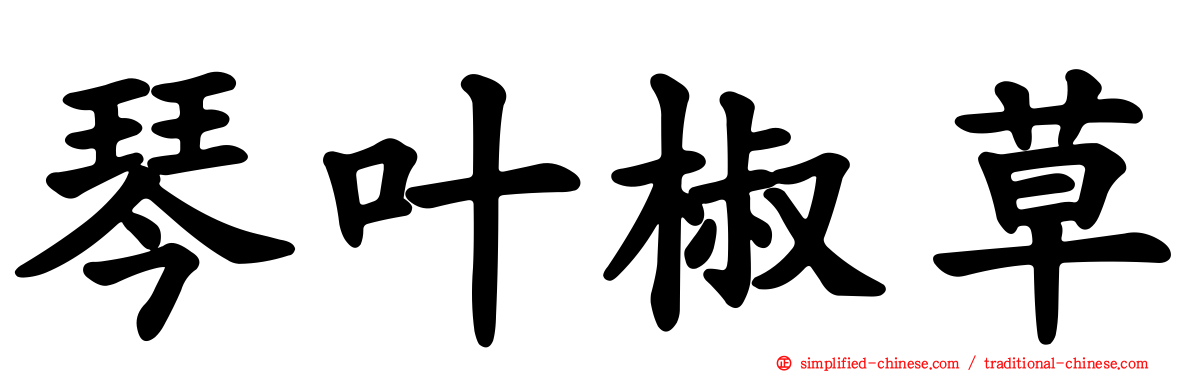 琴叶椒草