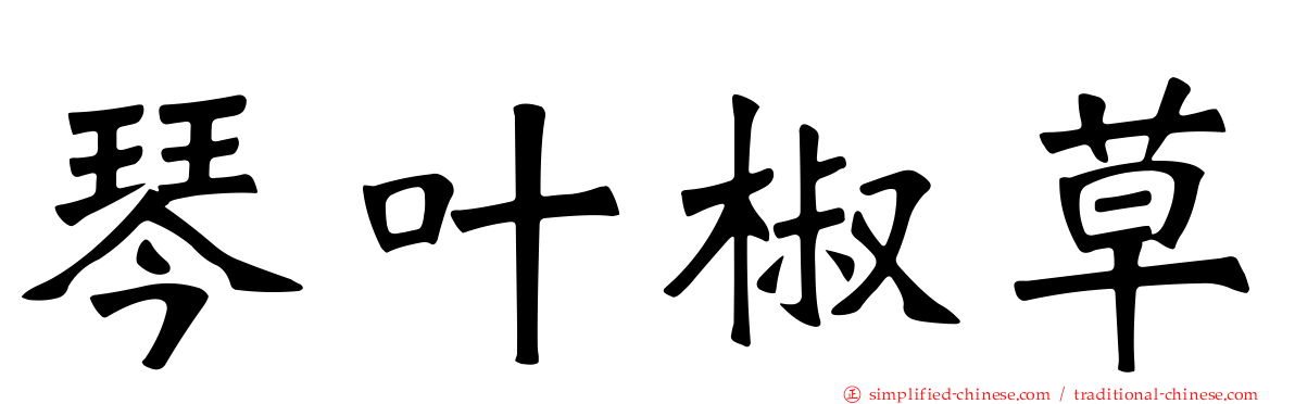 琴叶椒草