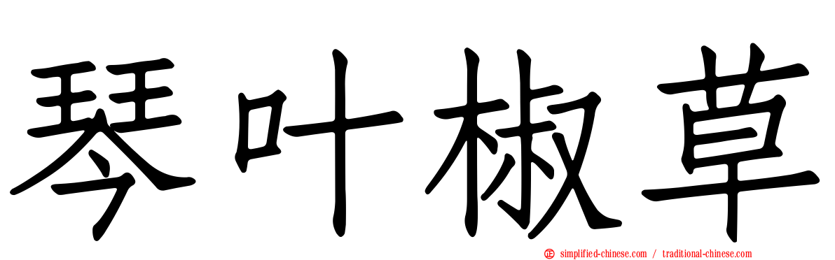 琴叶椒草