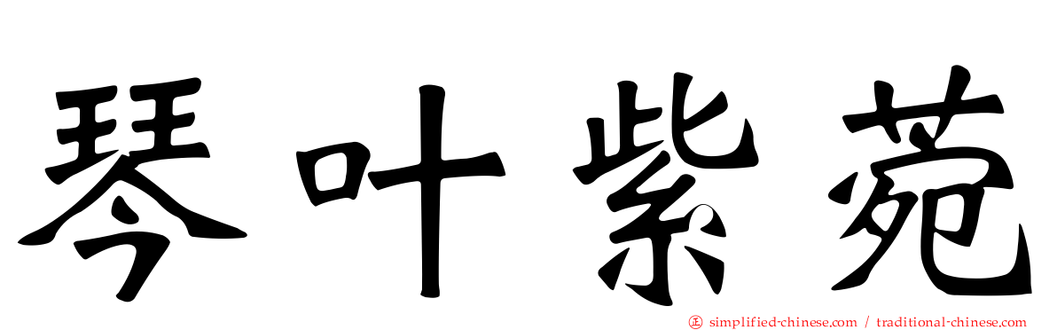 琴叶紫菀