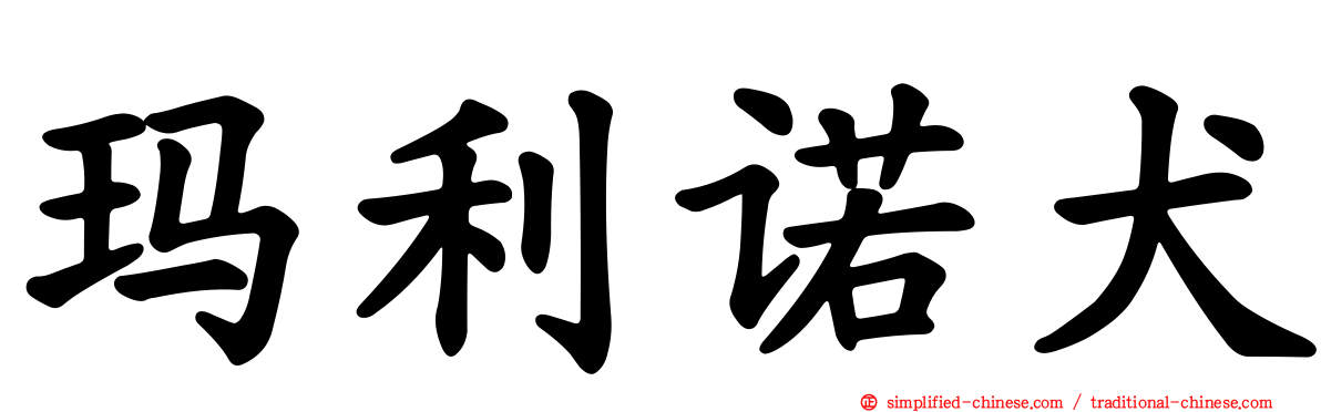 玛利诺犬