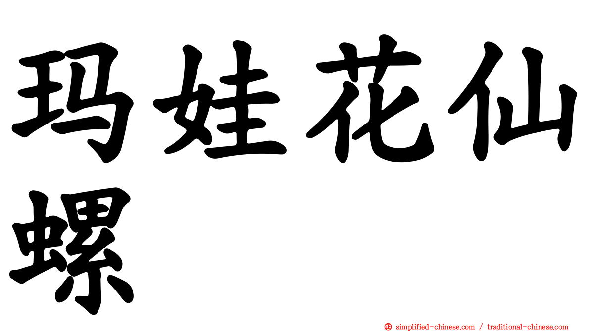 玛娃花仙螺