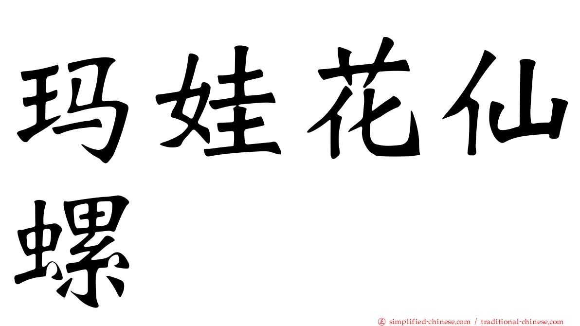 玛娃花仙螺