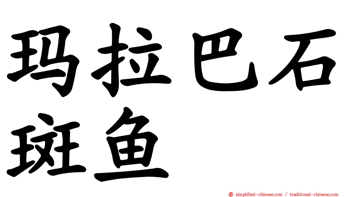 玛拉巴石斑鱼