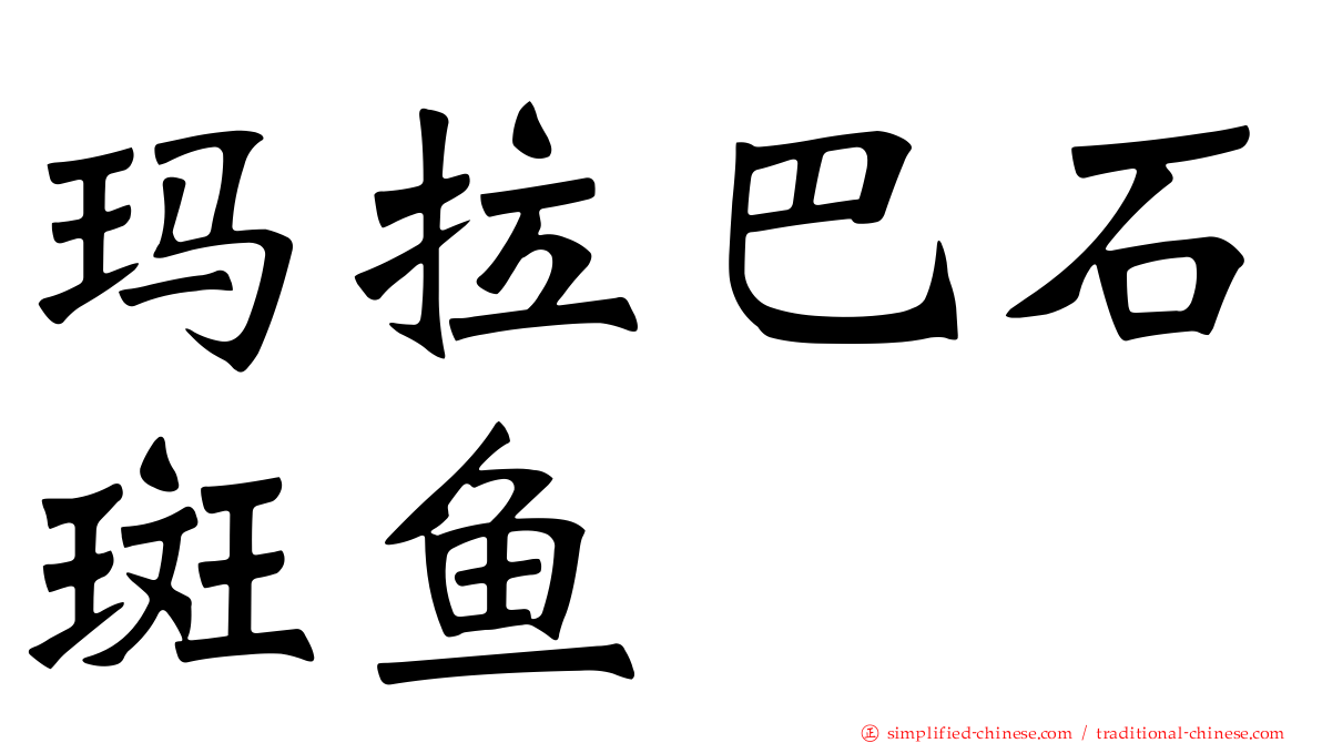 玛拉巴石斑鱼