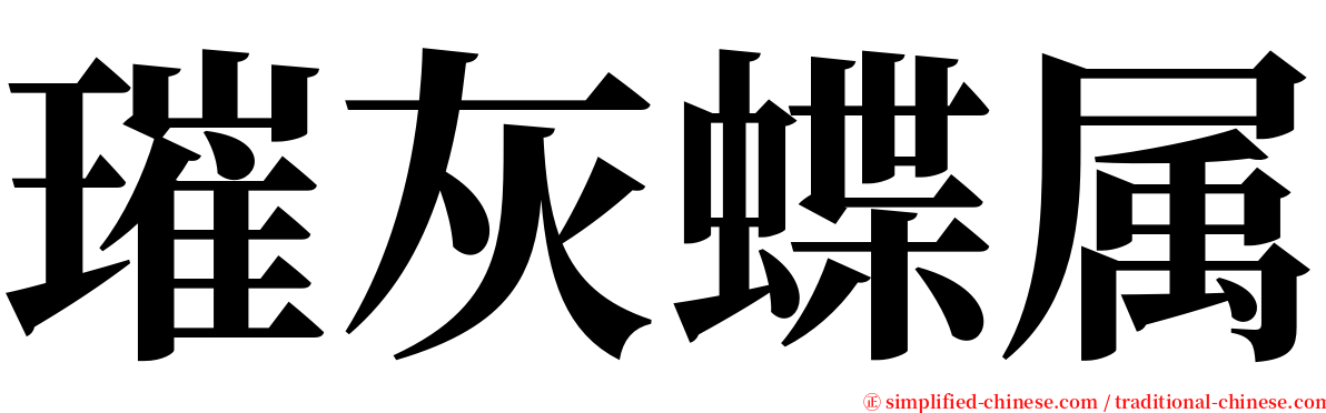 璀灰蝶属 serif font