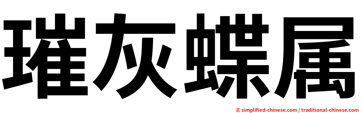 璀灰蝶属