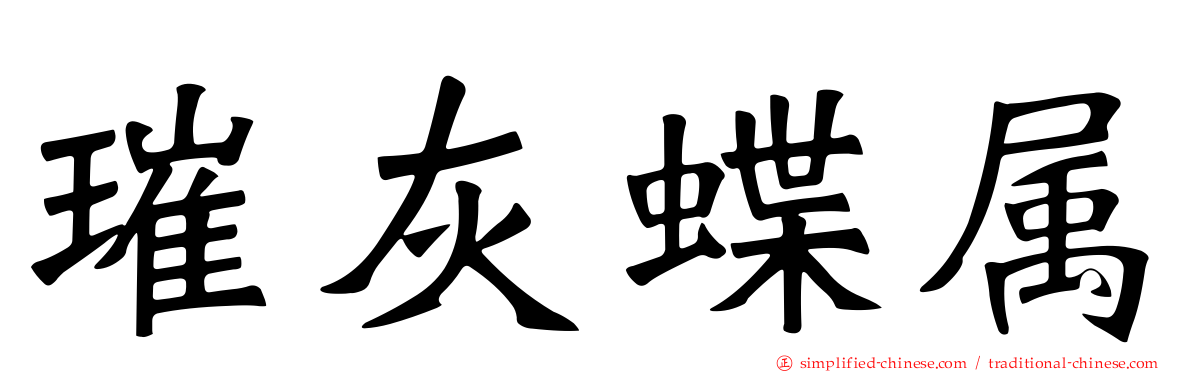 璀灰蝶属