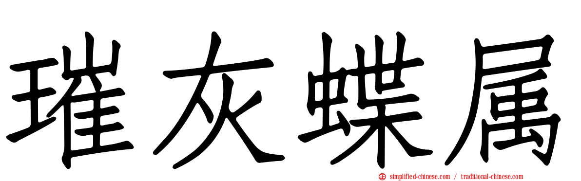 璀灰蝶属