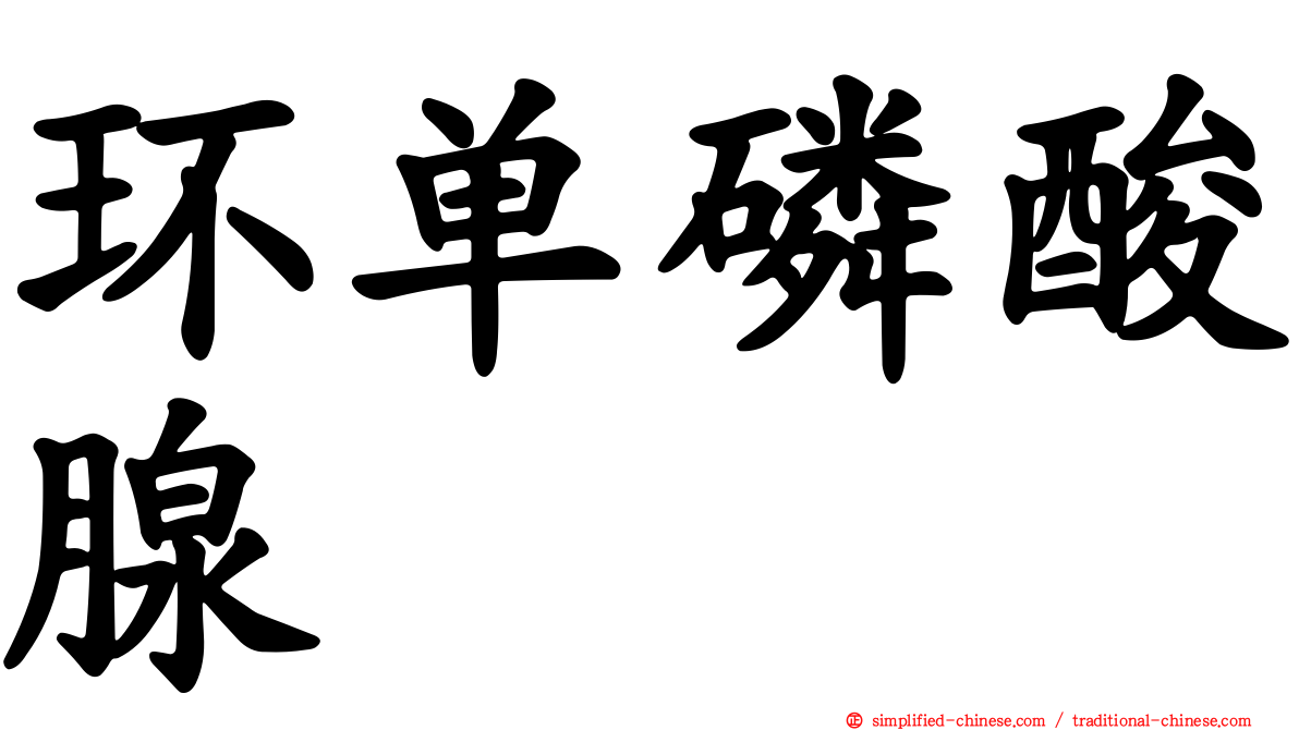 环单磷酸腺苷