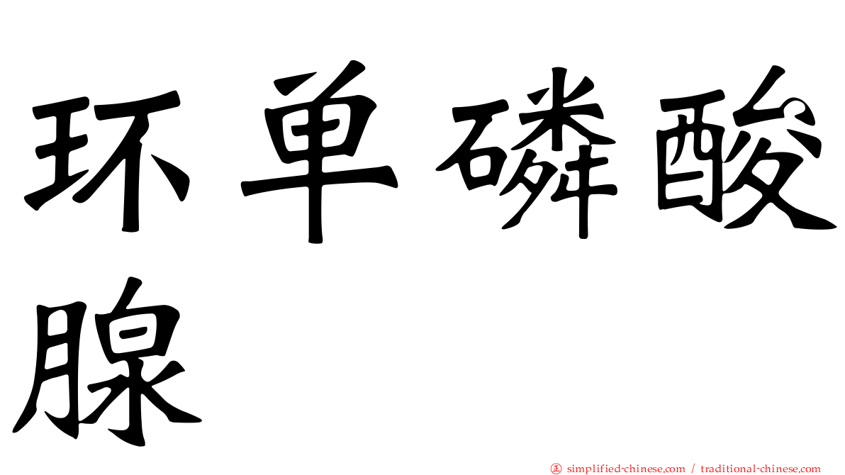环单磷酸腺苷
