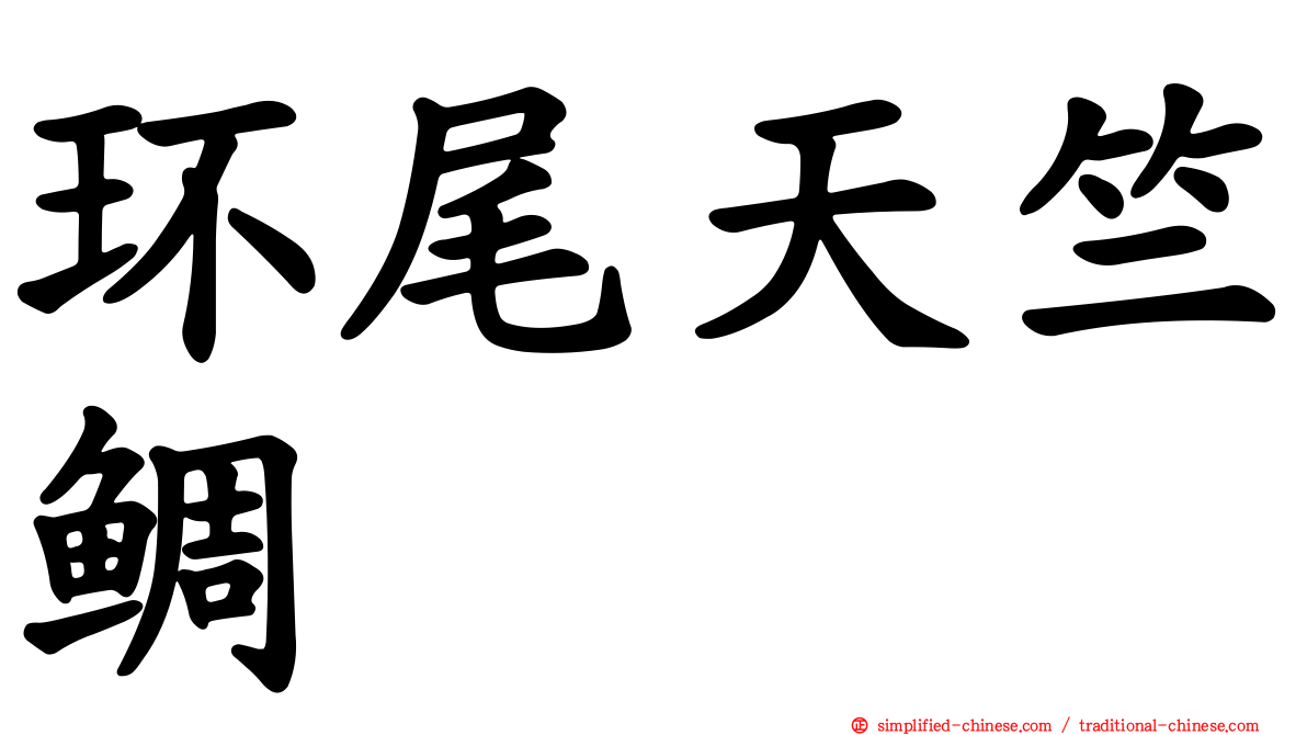 环尾天竺鲷