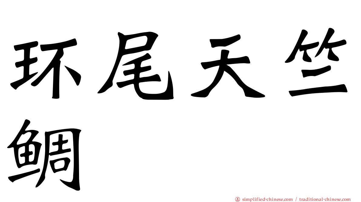 环尾天竺鲷