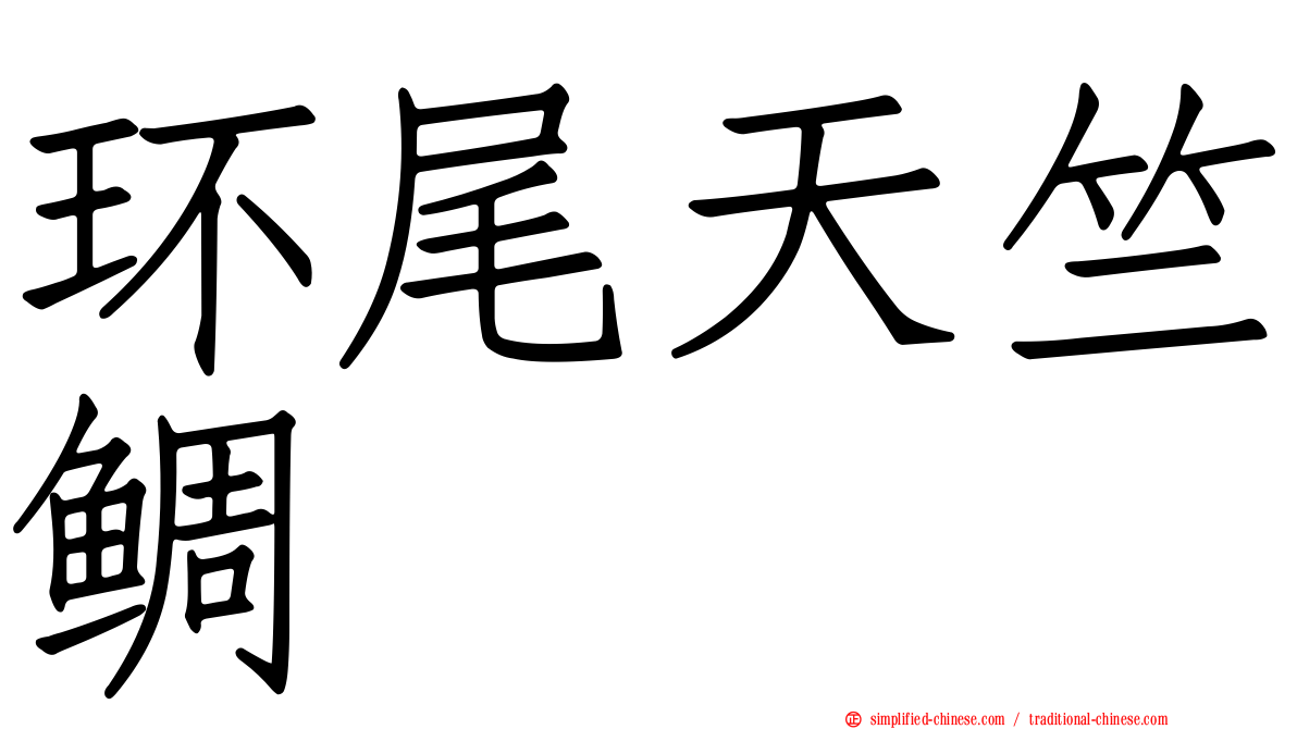 环尾天竺鲷