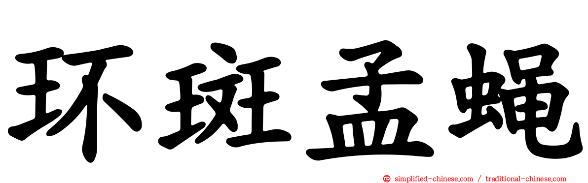 环斑孟蝇