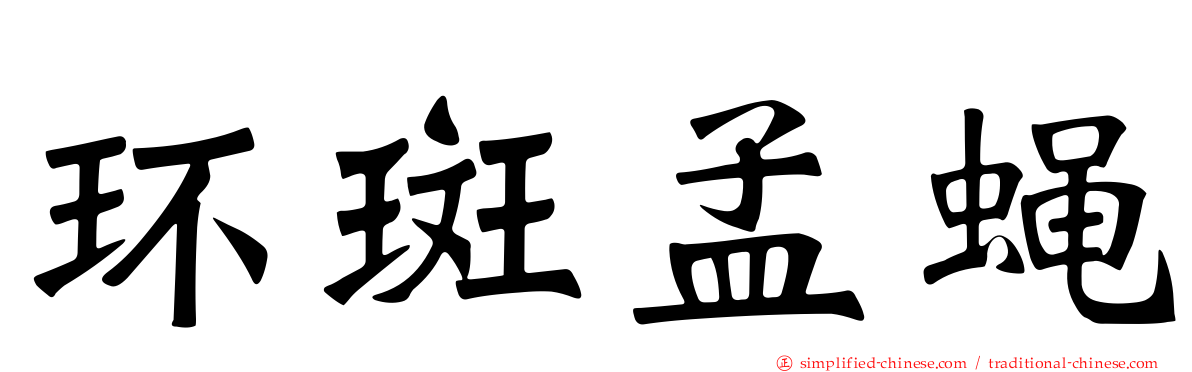 环斑孟蝇