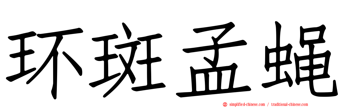环斑孟蝇