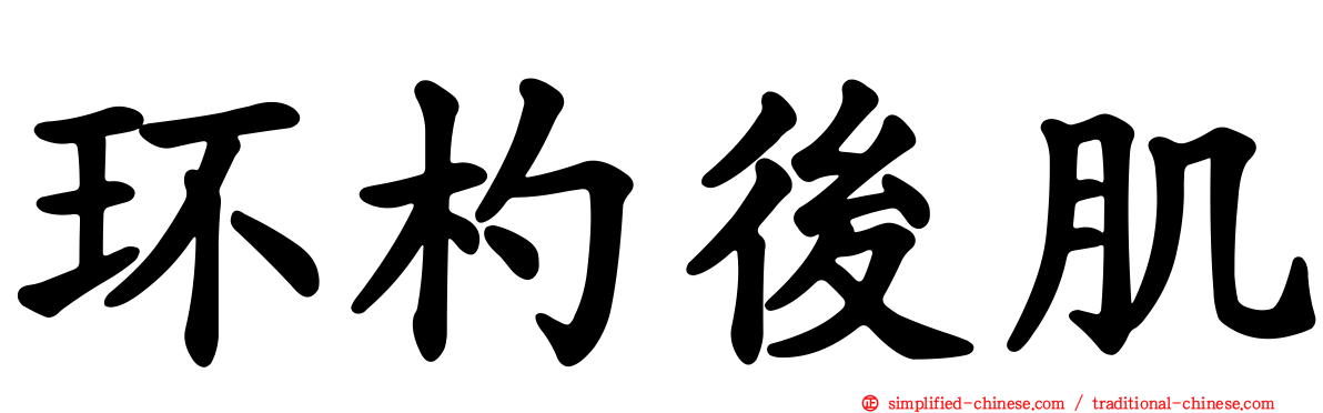 环杓后肌