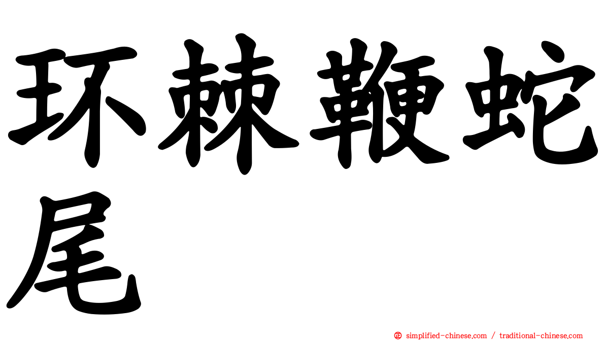 环棘鞭蛇尾