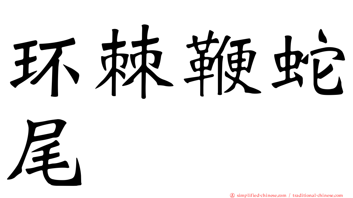 环棘鞭蛇尾