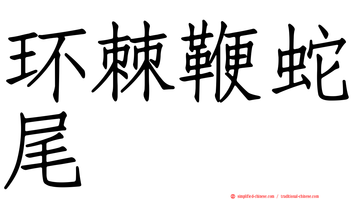 环棘鞭蛇尾