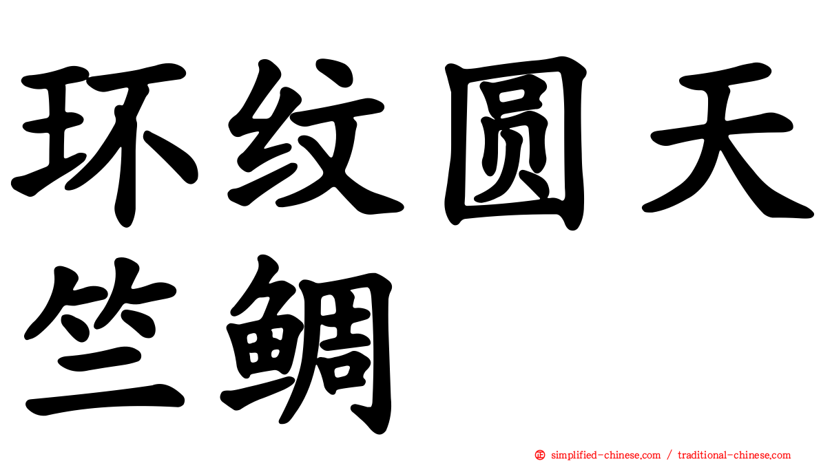 环纹圆天竺鲷