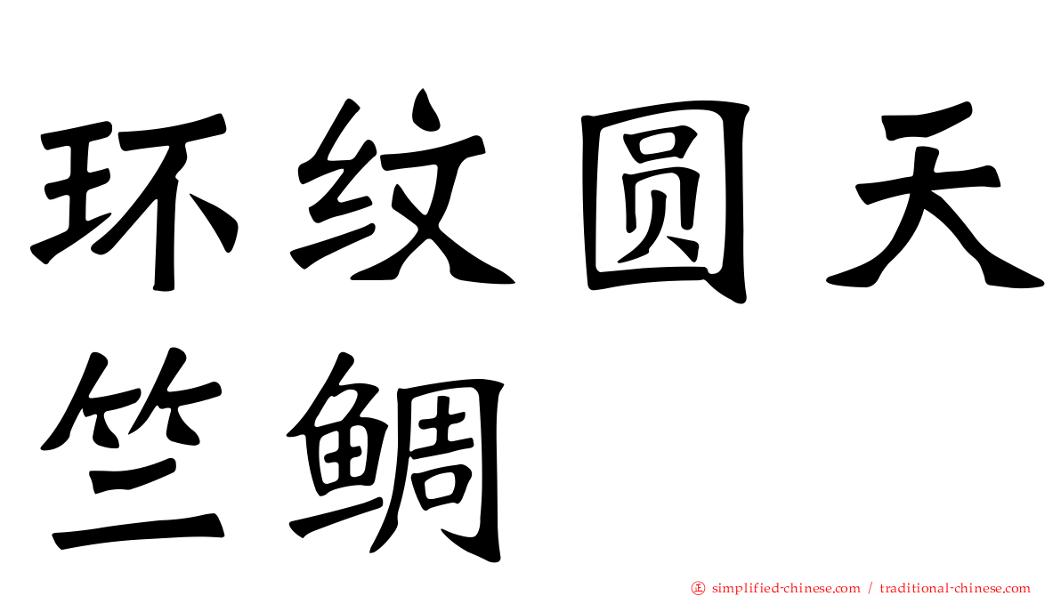 环纹圆天竺鲷
