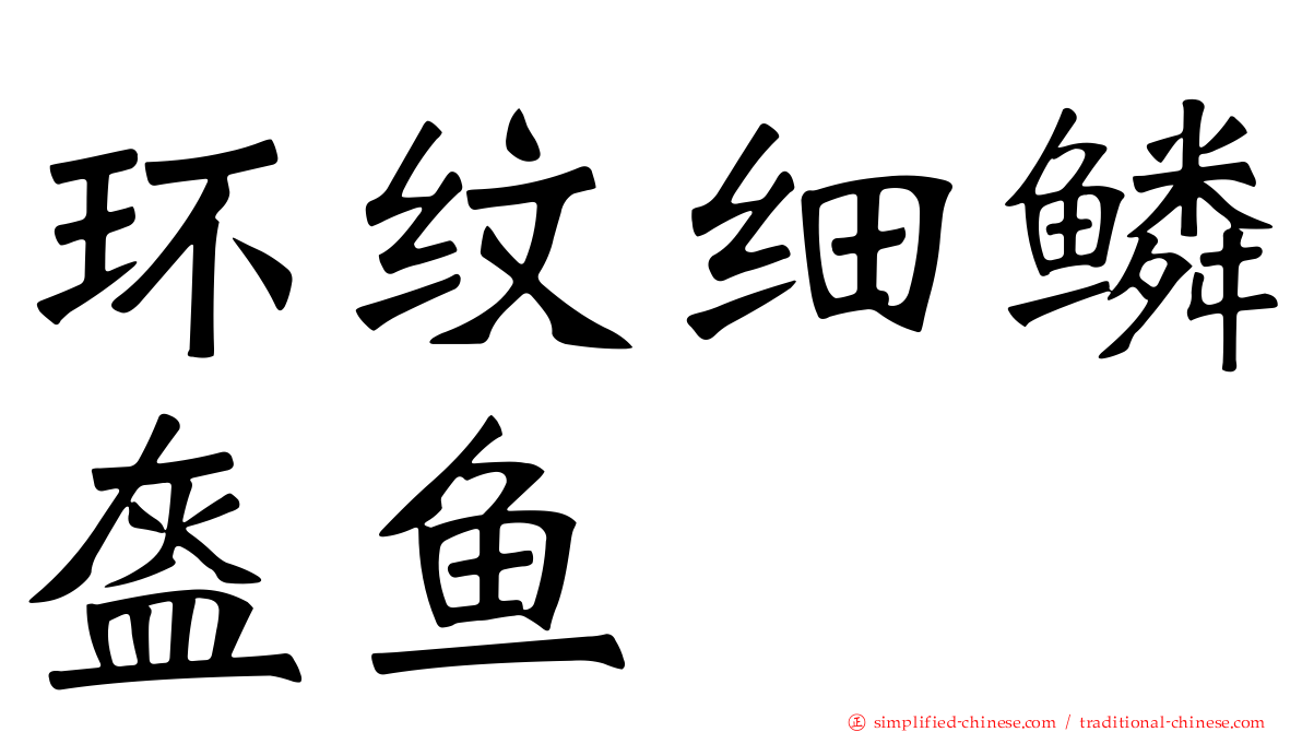 环纹细鳞盔鱼