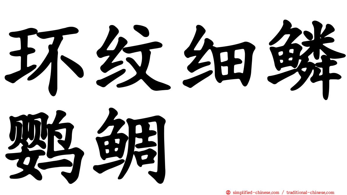 环纹细鳞鹦鲷
